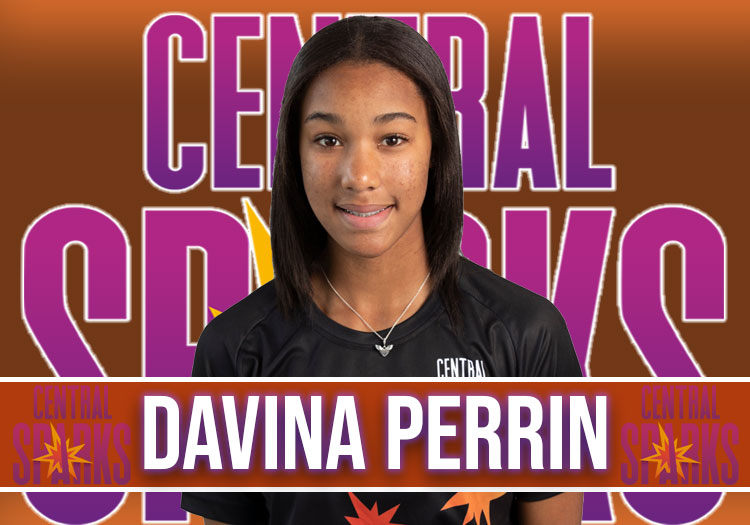 Davina Perrin Player profile The Cricketer