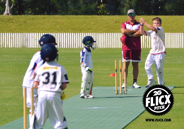 2g_flicx_pitch_x_cricketer_(1)