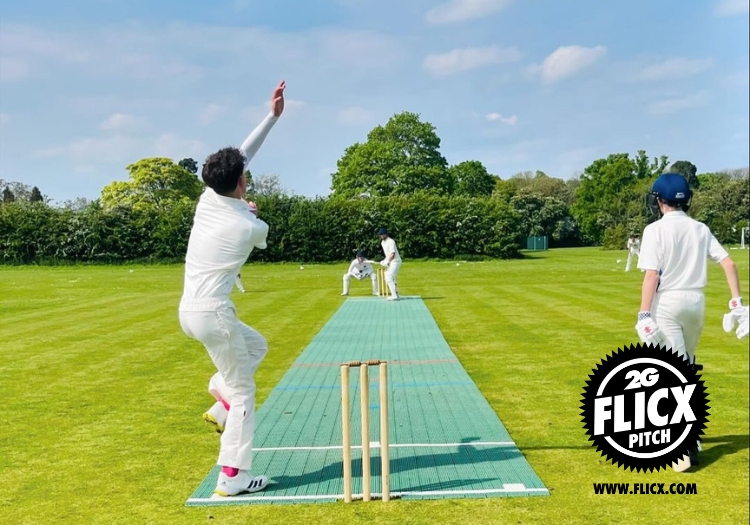 2g_flicx_pitch_x_cricketer_(3)