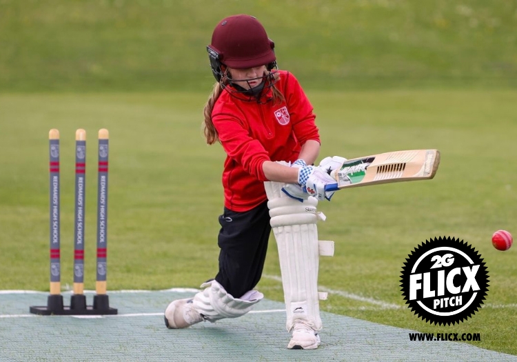 2g_flicx_pitch_x_cricketer_(4)