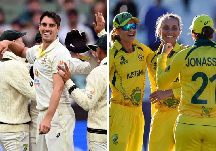 Cricket Australia unveil men's and women's 202324 home schedule The