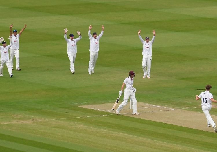 cooklammonby230901-min