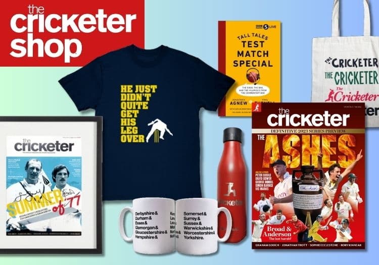 Cricket Lovers Gifts, How's That!!, Why Do Most People Like Cricket? Socks  luxury designer Socks Women Men's - AliExpress