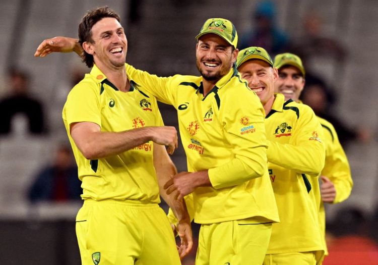 marshstoinis021101-min