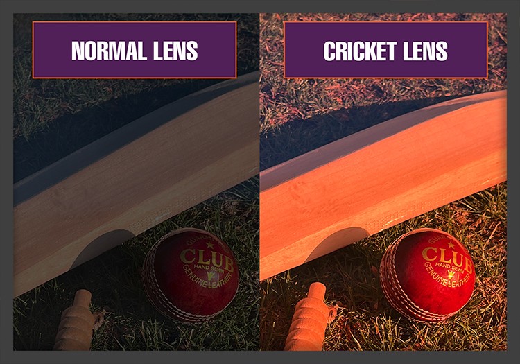 normal_vs_cricket_lens