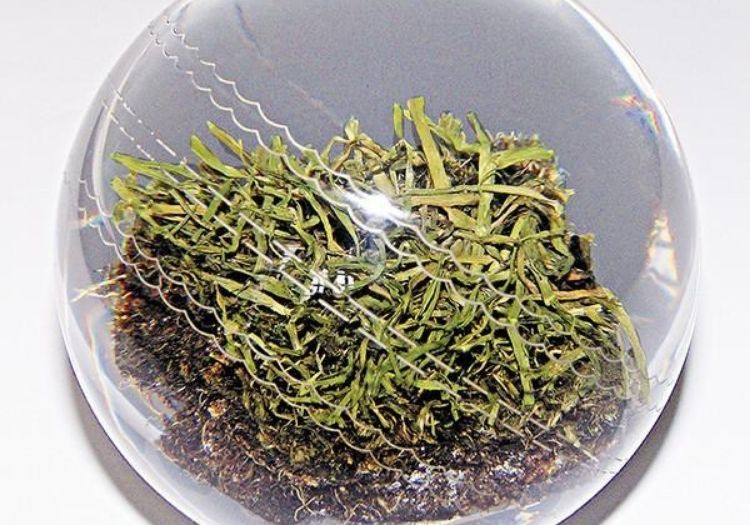 paperweight211202-min