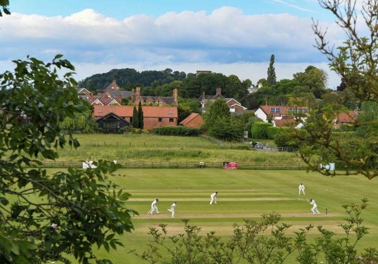 plumtreecommnewsletter230701-min