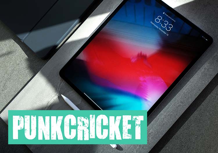 punnkcricketipad