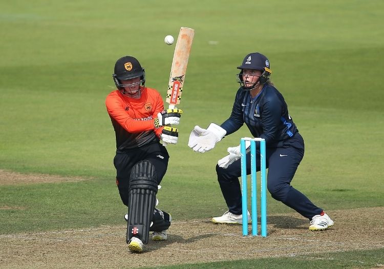 southernvipers170901