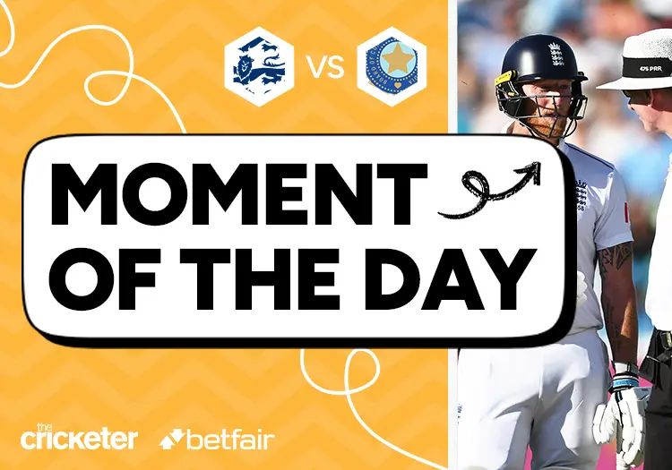 stokesladybird100725x