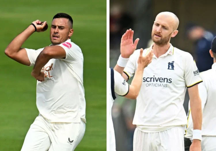 swanepoelhannondalby020401