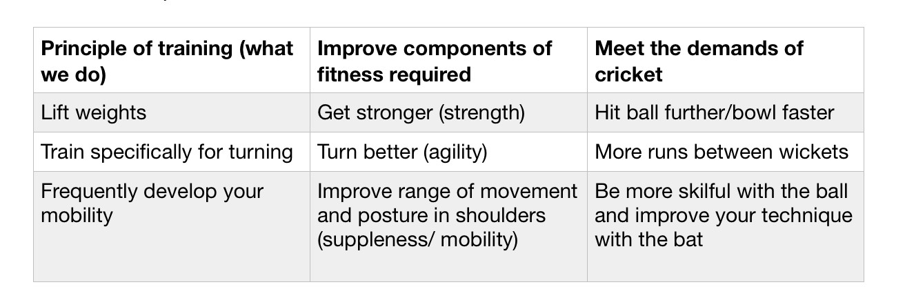 training_like_a_pro