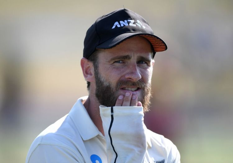 williamson251101-min