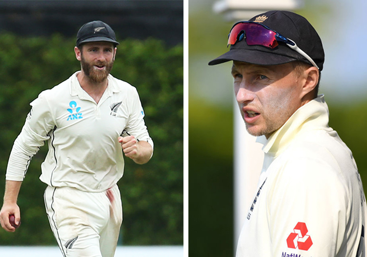 williamsonrootuntitled-2